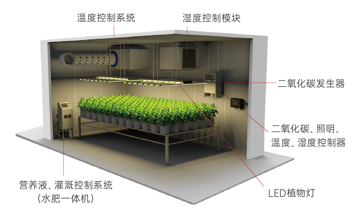 1712469862309570.png 植物生长.png