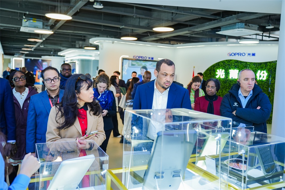 1734339331800958.jpg 2-1000.jpg