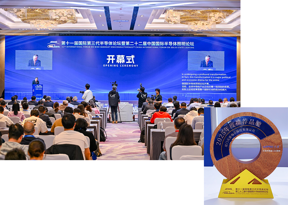 1767591881346265.jpg 品牌登顶.jpg